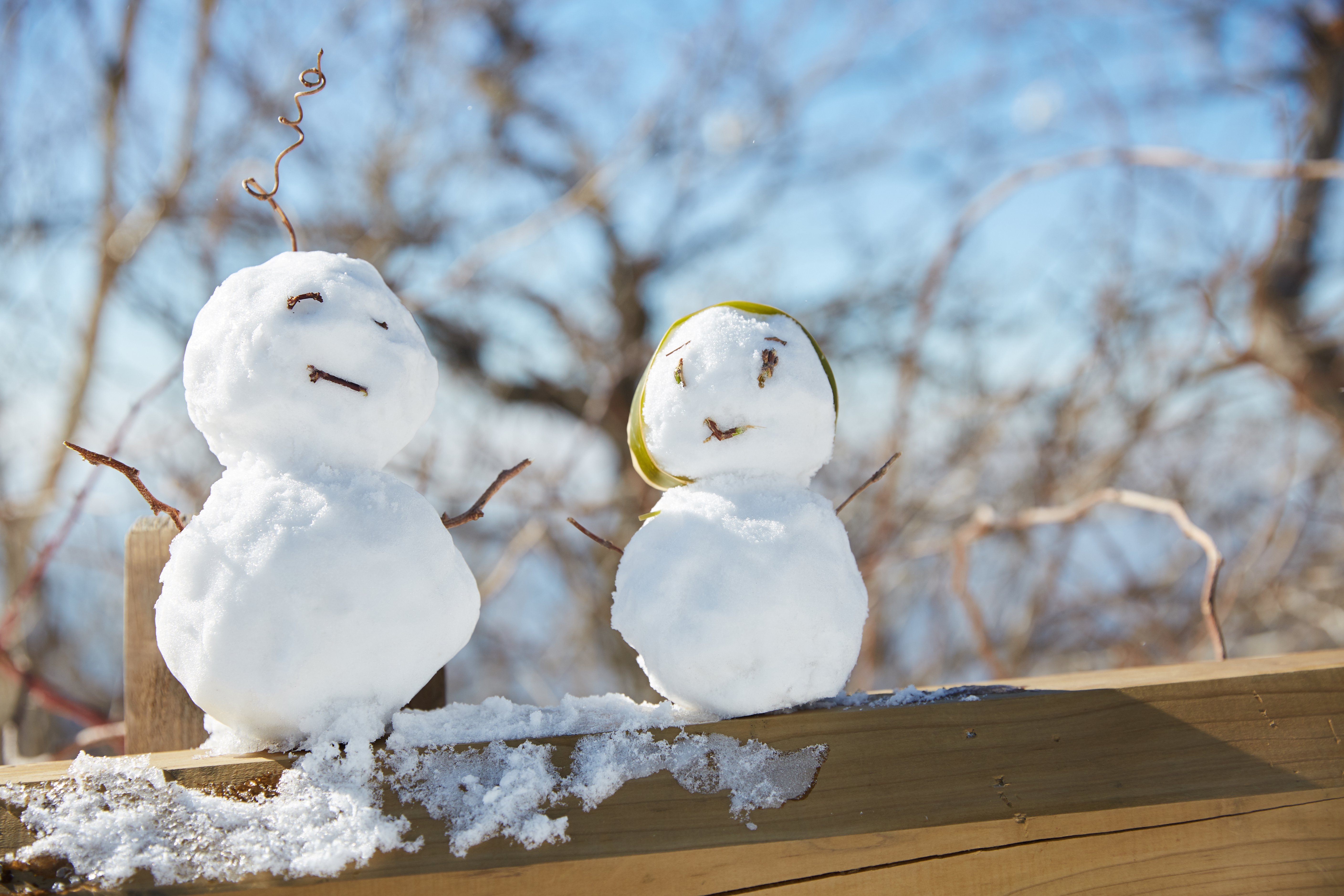 冬至，暖“杨”相伴 | 创世大发人全力配合各墓园冬至落葬