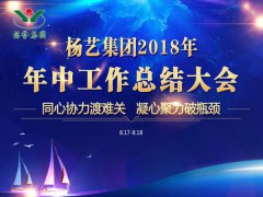 创世大发集团2018年中总结报告（摘要）