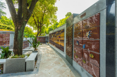 绿色殡葬新风尚：探索葬式多样化的创新之路