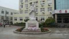 石雕匠心，镌刻医者风华