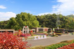 城市角落的星河：当墓园成为生命的另一种花园