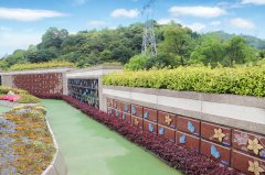 告别千篇一律：多元葬式安放生命的最后尊严